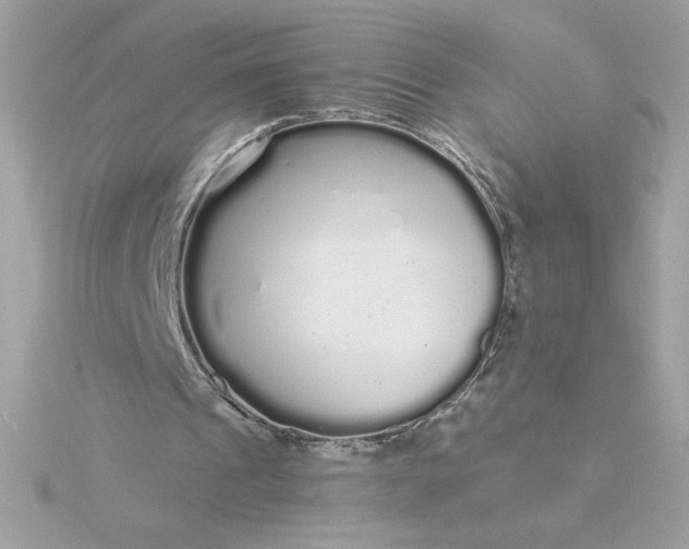 X0000116040241200912041818