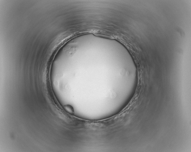 X0000116040242200912041818