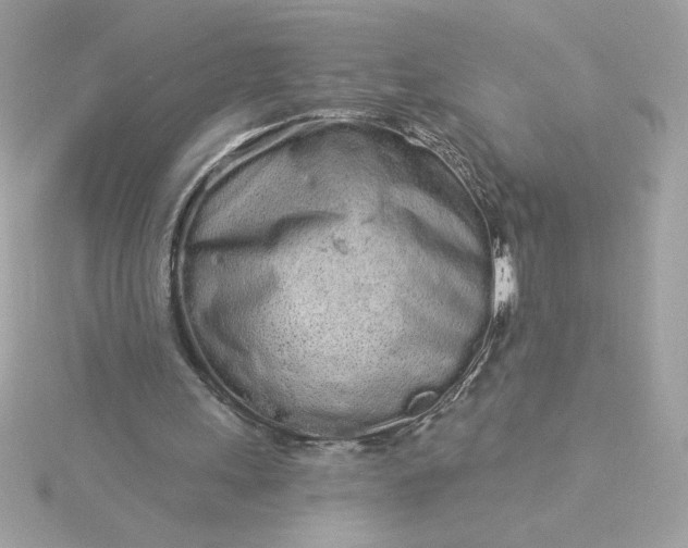 X0000116040243200912041818