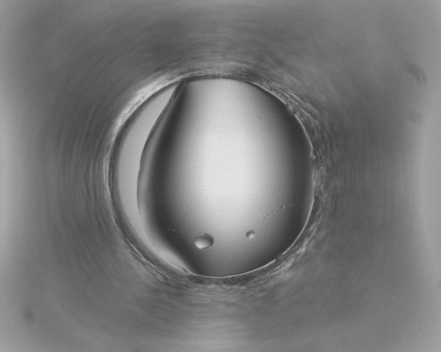 X0000116040244200912041818