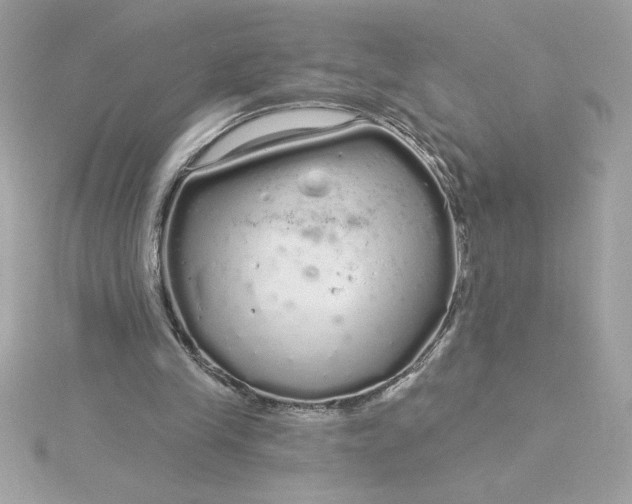 X0000116040245200912041818