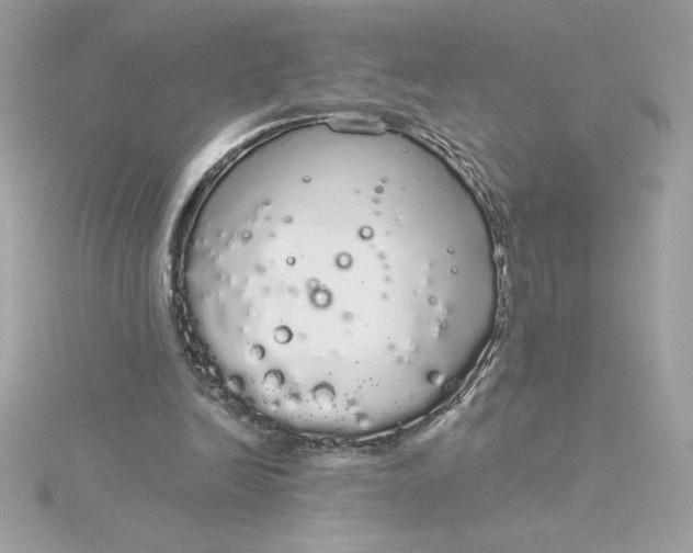 X0000116040246200912041818