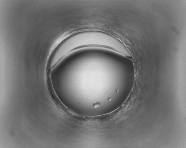 X0000116040248200912041818