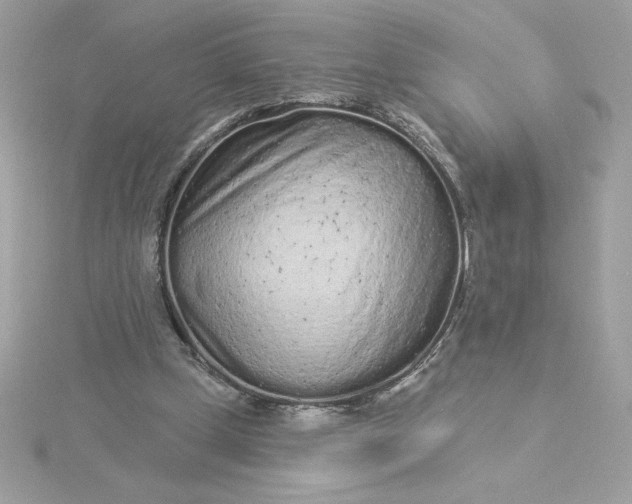 X0000116040249200912041818