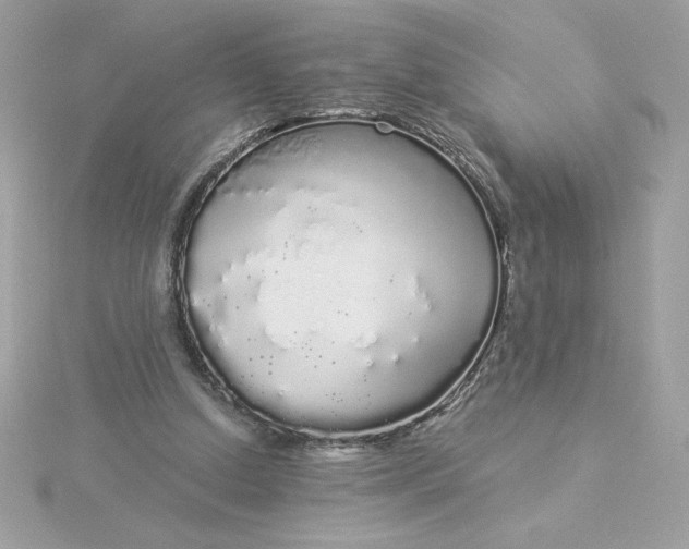 X0000116040250200912041818