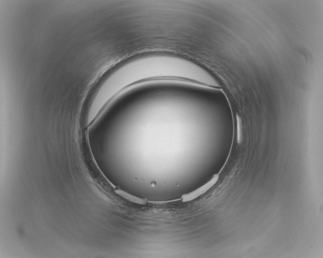 X0000116040252200912041818