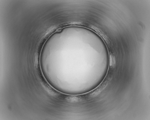 X0000116040253200912041818