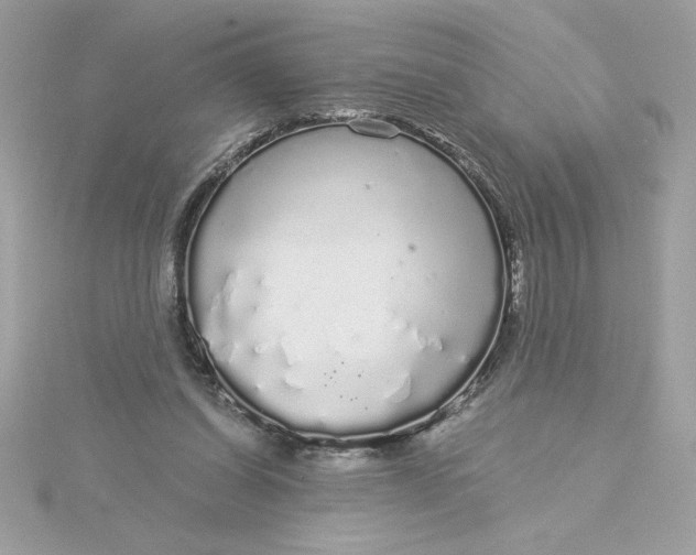 X0000116040254200912041818