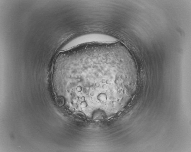 X0000116040255200912041818