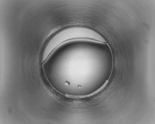 X0000116040256200912041818