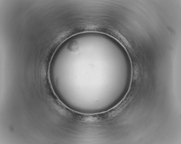 X0000116040257200912041818