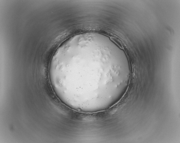 X0000116040258200912041818