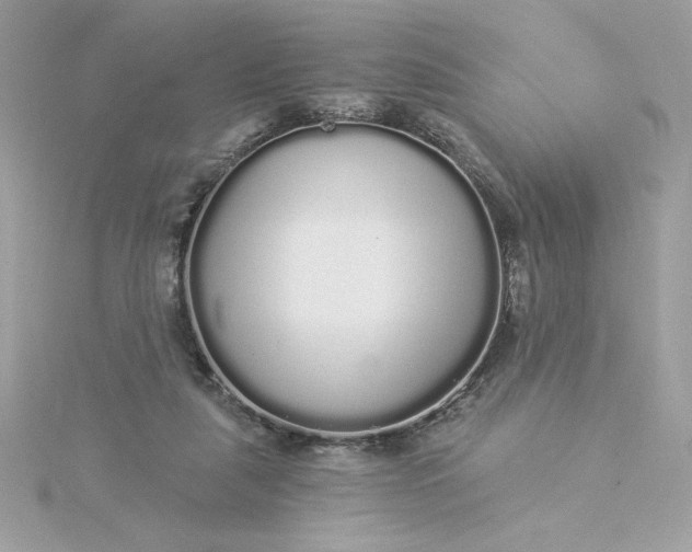 X0000116040259200912041818