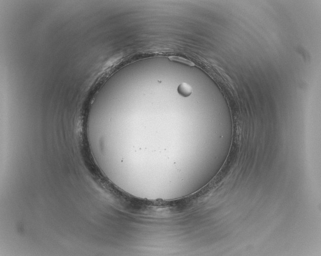 X0000116040260200912041818