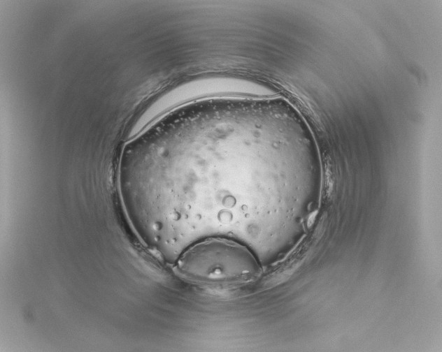 X0000116040261200912041818