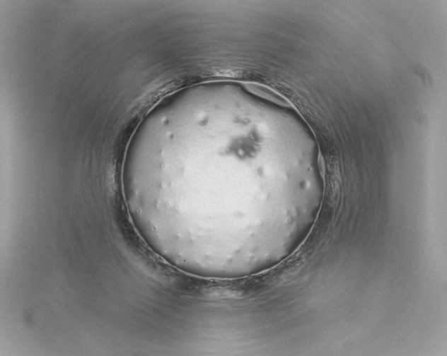 X0000116040262200912041818