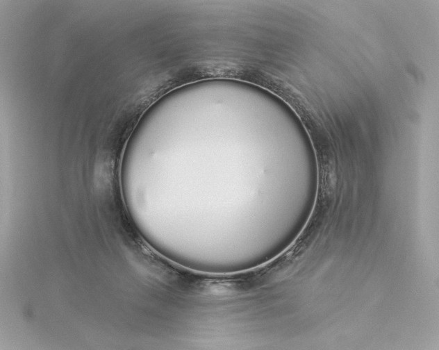 X0000116040263200912041818