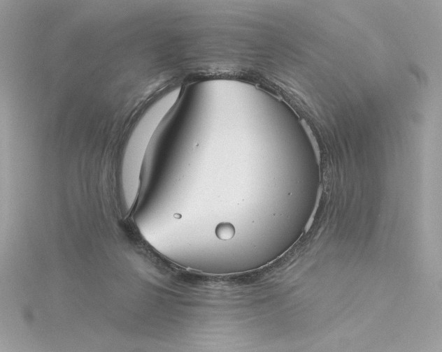 X0000116040264200912041818