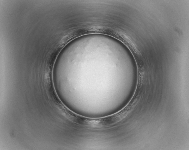 X0000116040265200912041818