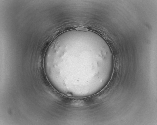 X0000116040266200912041818