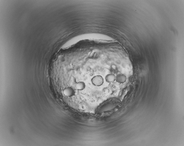 X0000116040267200912041818