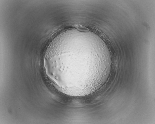 X0000116040268200912041818