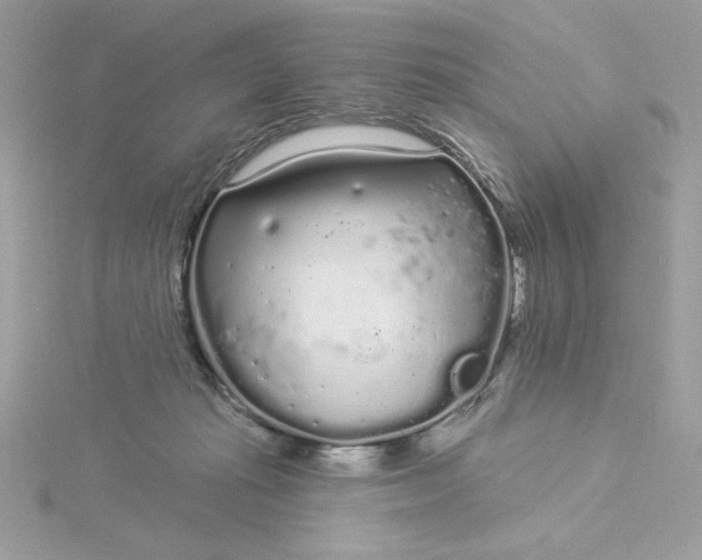 X0000116040269200912041818