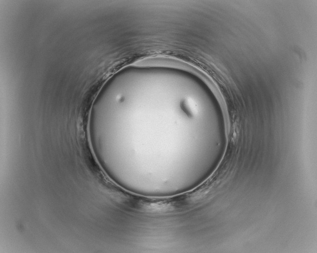 X0000116040270200912041818