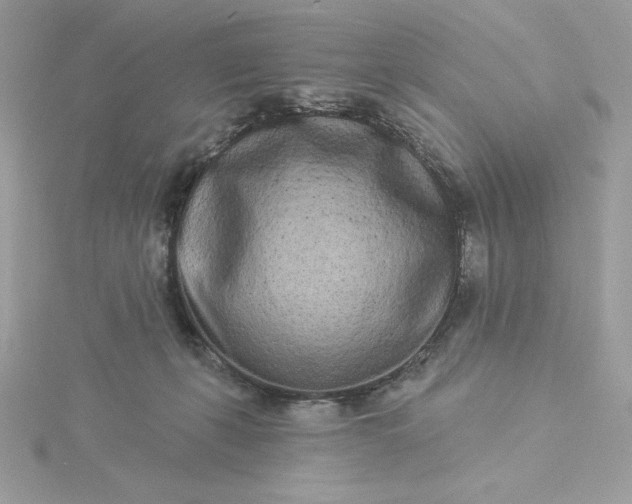 X0000116040271200912041818