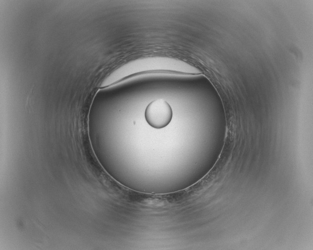 X0000116040272200912041818