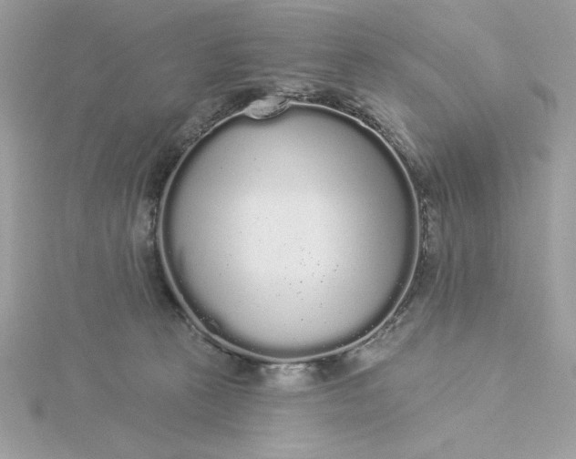 X0000116040273200912041818