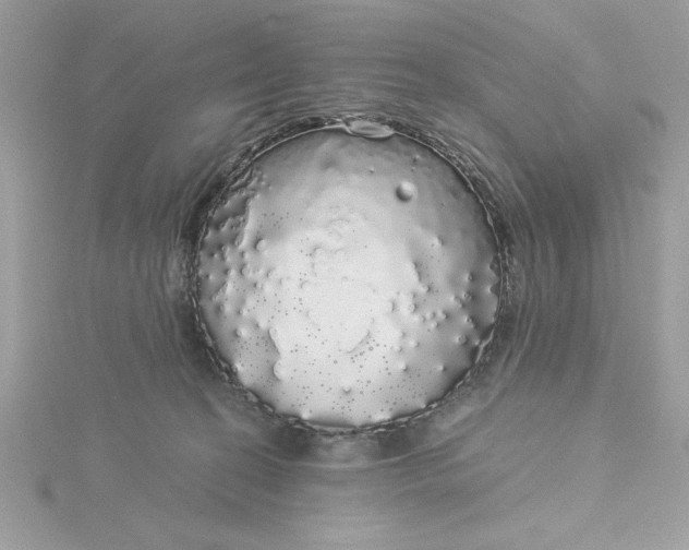 X0000116040274200912041818