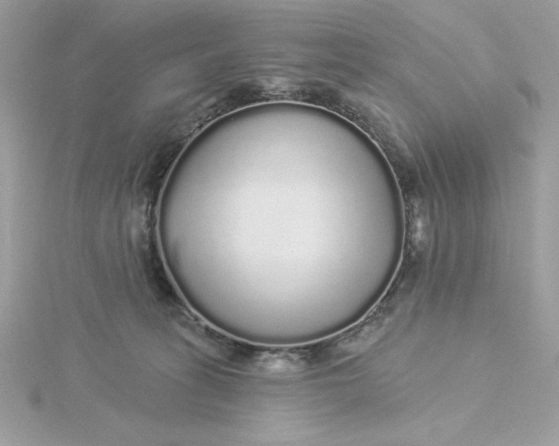 X0000116040275200912041818