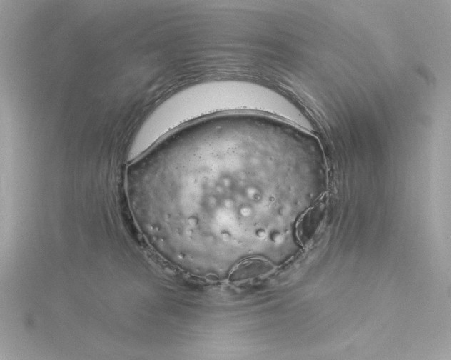 X0000116040277200912041818