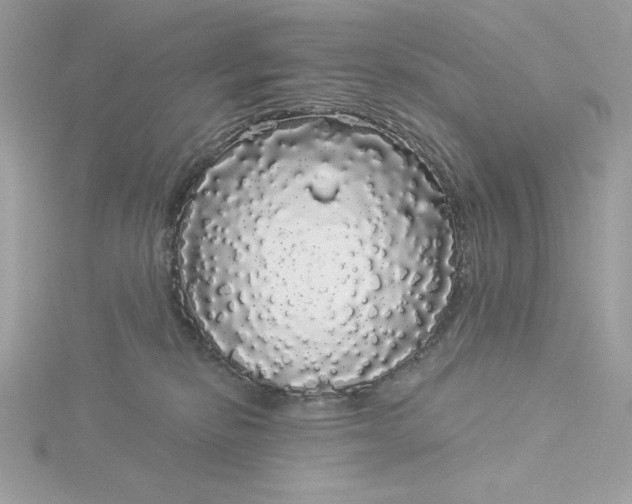 X0000116040278200912041818