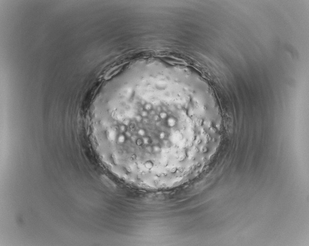 X0000116040279200912041818