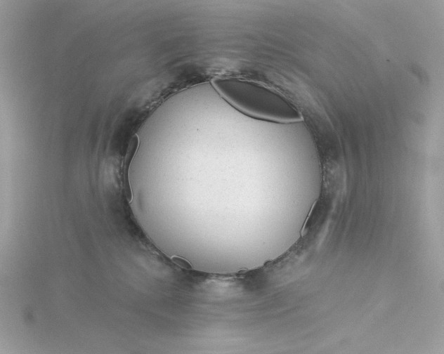 X0000116040280200912041818