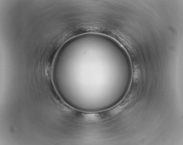 X0000116040281200912041818