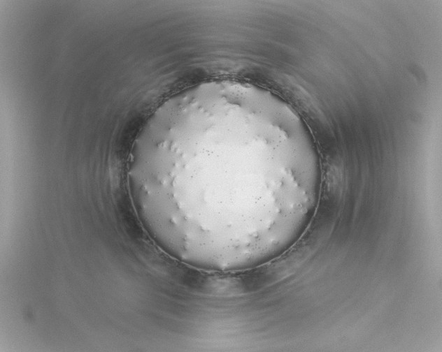 X0000116040283200912041818