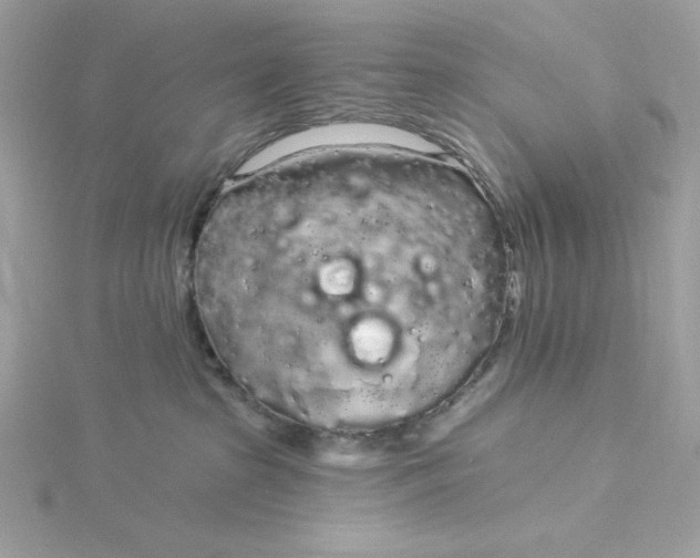 X0000116040285200912041818