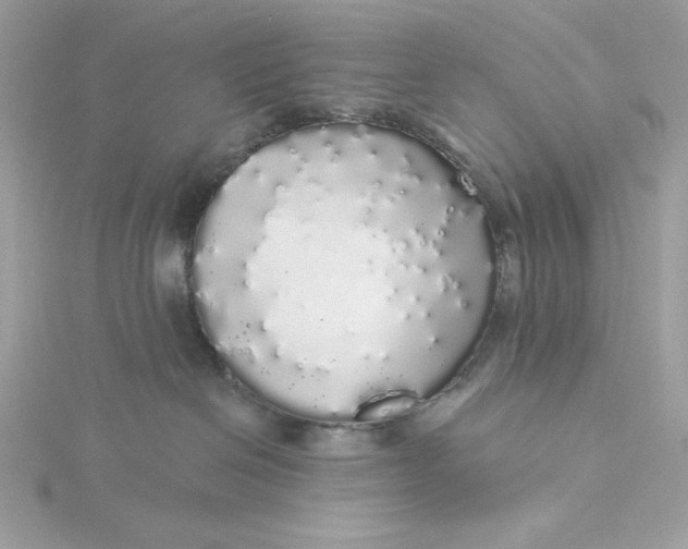 X0000116040286200912041818