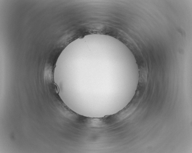 X0000116040287200912041818