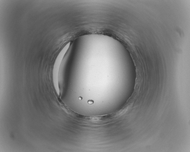 X0000116040288200912041818