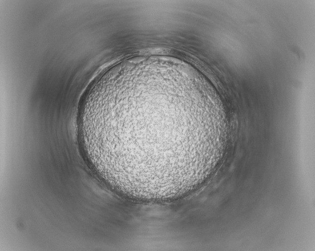 X0000116040290200912041818