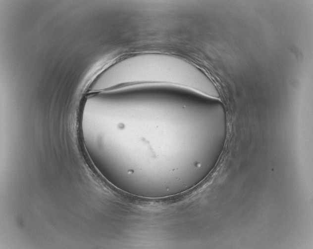 X0000116040293200912041818