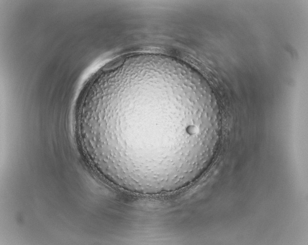 X0000116040294200912041818