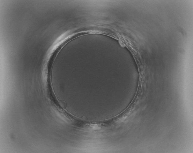 X0000116040295200912041818