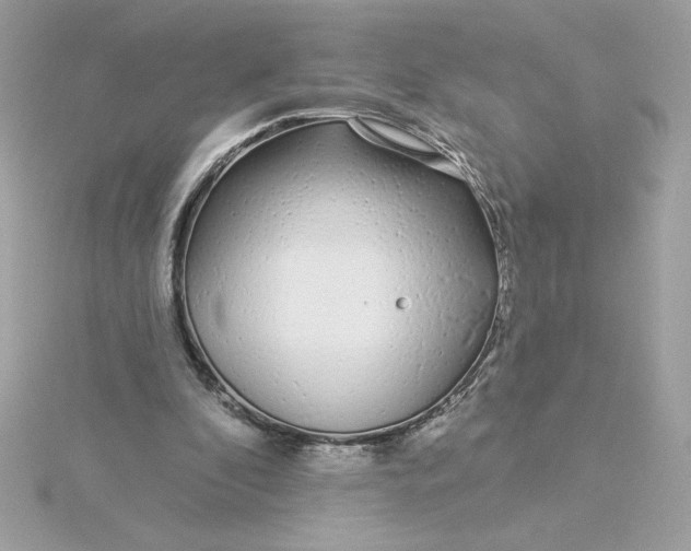 X0000116040296200912041817