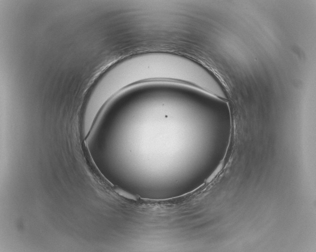 X0000116040297200912041817