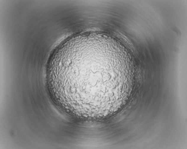 X0000116040298200912041817